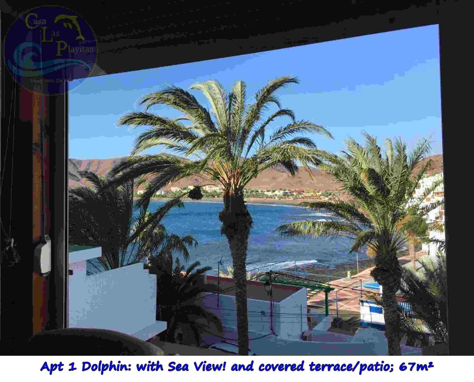 Casa Las Playitas -Clp- Best Sea View - In 1 Minute Ocean Las Playas Exterior foto